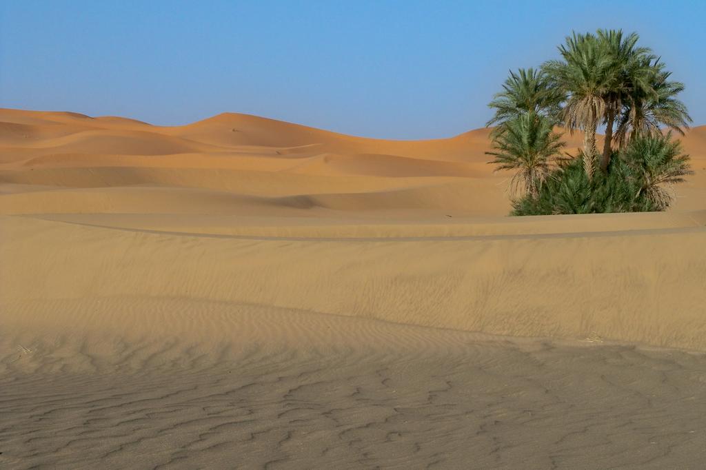Kasbah Tamariste Bed & Breakfast Merzouga Luaran gambar