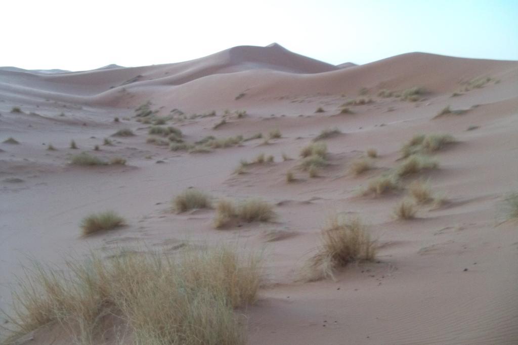 Kasbah Tamariste Bed & Breakfast Merzouga Luaran gambar
