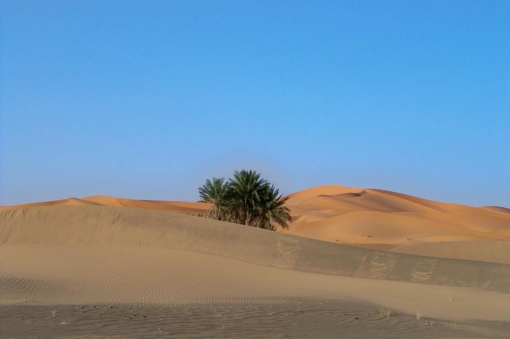 Kasbah Tamariste Bed & Breakfast Merzouga Luaran gambar